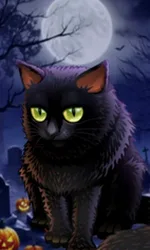 Spooky Halloween