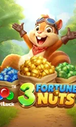3 Fortune Nuts